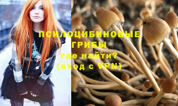 а пвп мука Баксан