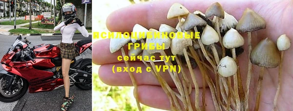 хмурый Балабаново