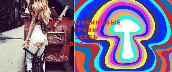 тгк Балахна