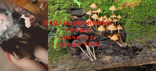хмурый Балабаново