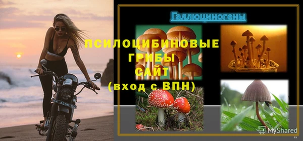 хмурый Балабаново